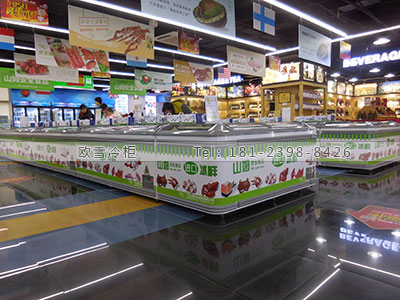 惠州超市冷柜一般使用什么牌子的