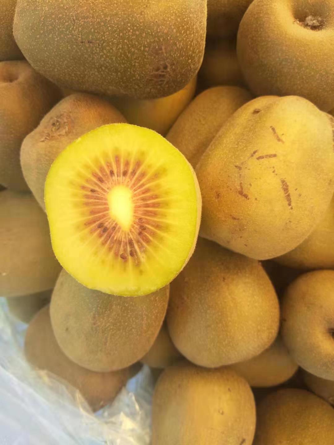 南宁市猕猴桃种植基地-猕猴桃价格-大量批发各种水果