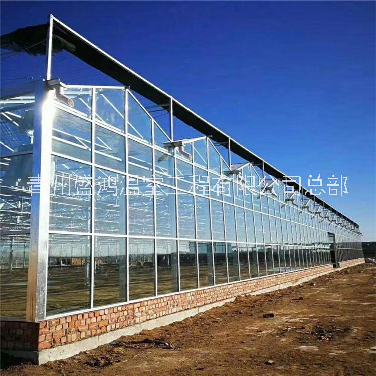 江苏玻璃温室哪儿里有做的厂家 智能玻璃温室大棚