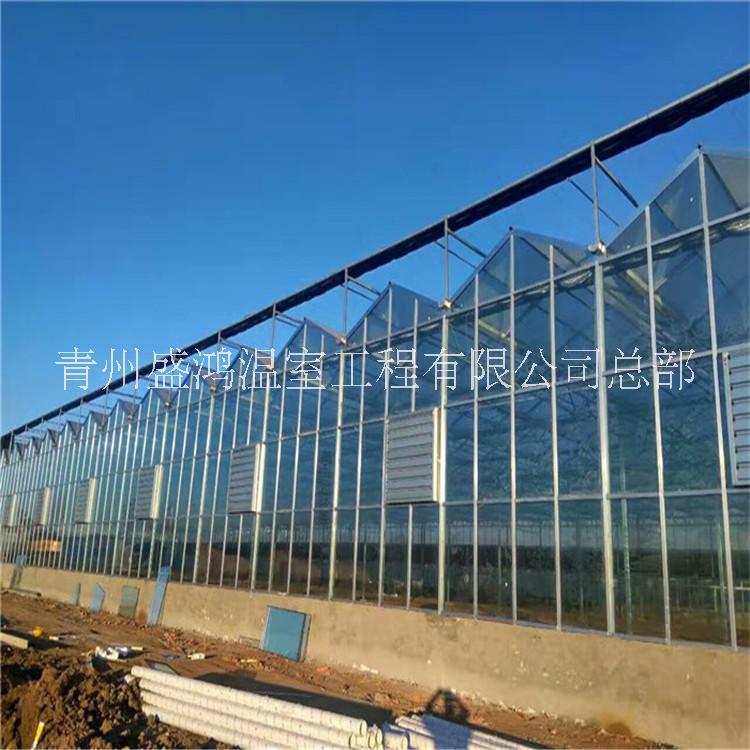 安徽玻璃温室维修品牌 建设连栋玻璃温室大棚