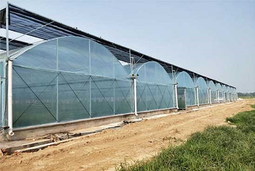 郑州市温室外遮阳系统厂家温室外遮阳系统