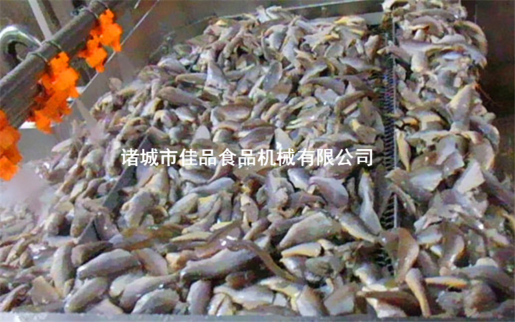 潍坊市洗鱼机厂家诸城佳品供应5米 洗鱼机 海鱼大型清洗线