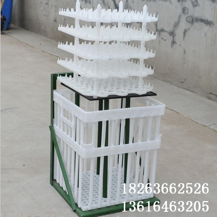 潍坊市36枚塑料种蛋运输筐厂家