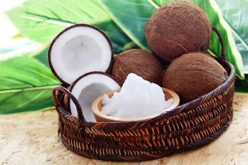 广州市椰子进口报关马来西亚厂家椰子进口报关马来西亚