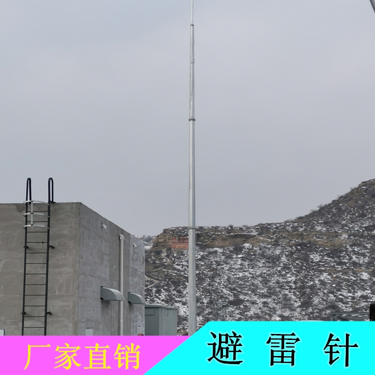 天津厂家供应避雷针 独立避雷针42米m 各种规格图片