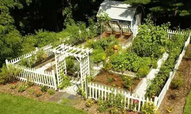 蔬菜花园蔬菜花园蔬菜园艺庭院种植蔬菜阳台景观阳台设计