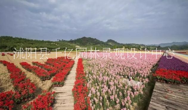 景区花海设计施工旅游花海民宿田园综合体乡村振兴 景区花海设计施工