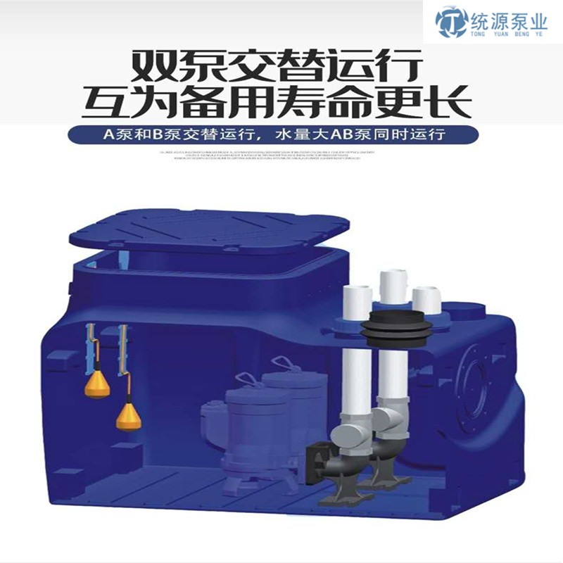 TYT300L双泵PE污水提升器、上海统源泵业有限公司图片