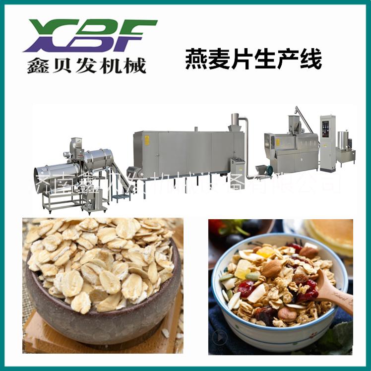 燕麦片设备批发 水果麦片机械设备 休闲食品膨化机 单螺杆挤压机