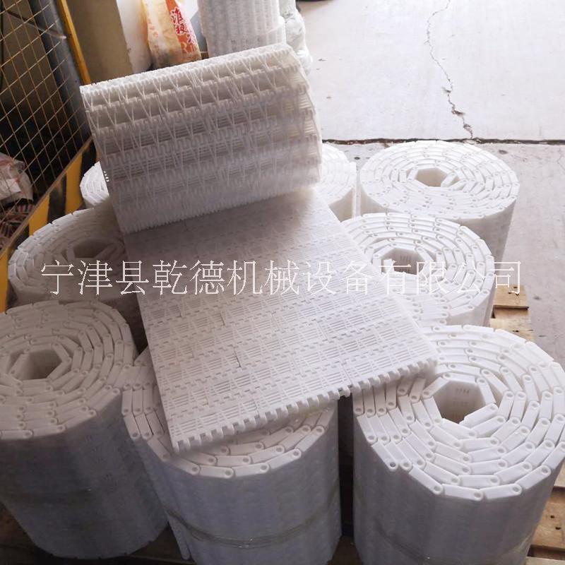 广东塑料输送链板厂家食品输送PP塑料链板规格齐全图片
