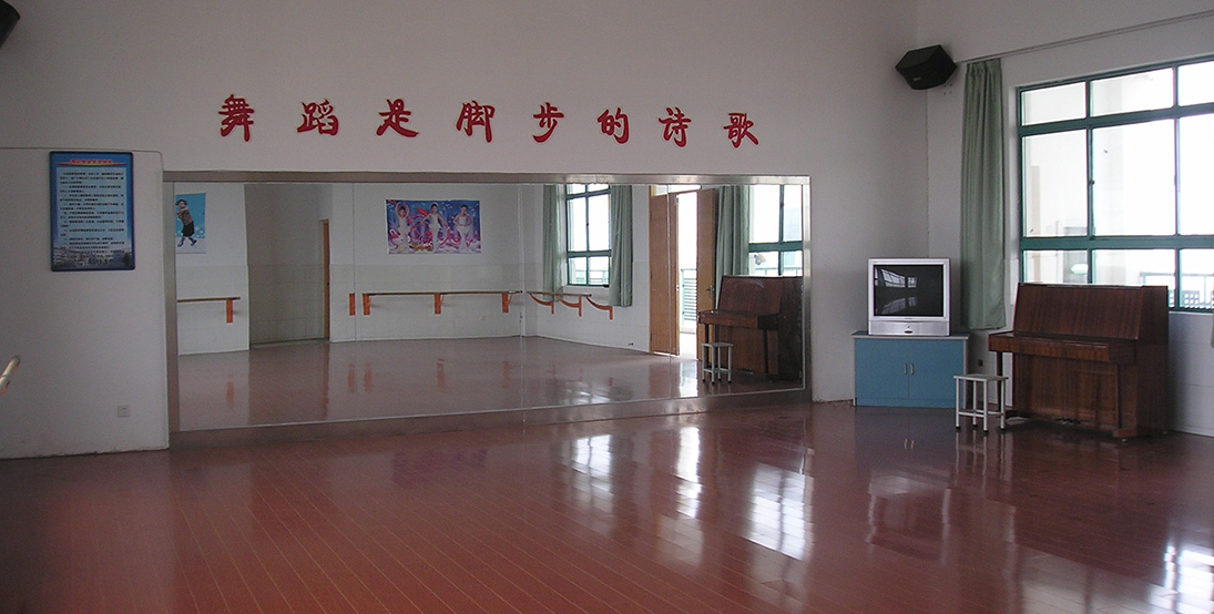 辽宁舞蹈防滑地板 舞蹈室用pvc地板  生产舞蹈地板 pvc塑胶地板图片