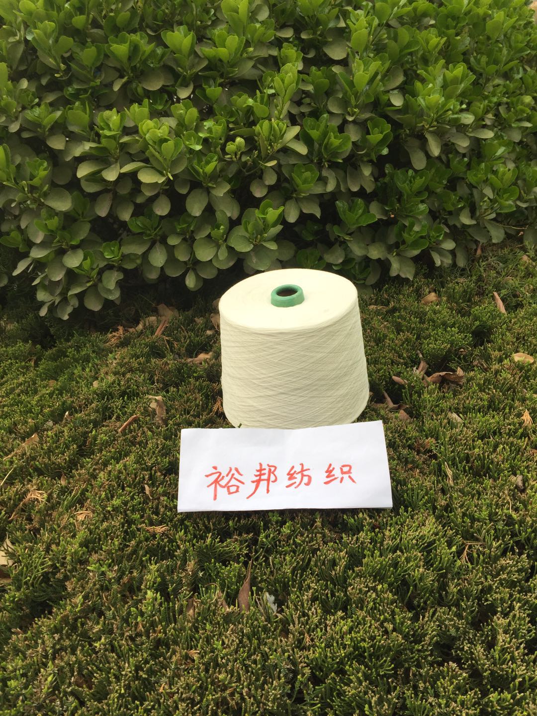 新疆长绒棉纱60支、JC60/2、长绒棉合股纱图片