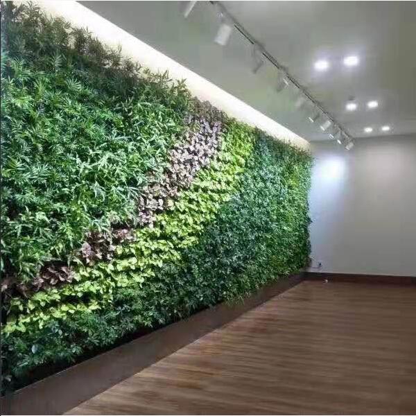 北京垂直绿化背景墙价格、哪家好、价钱、联系方式【北京领越园林绿化有限公司】