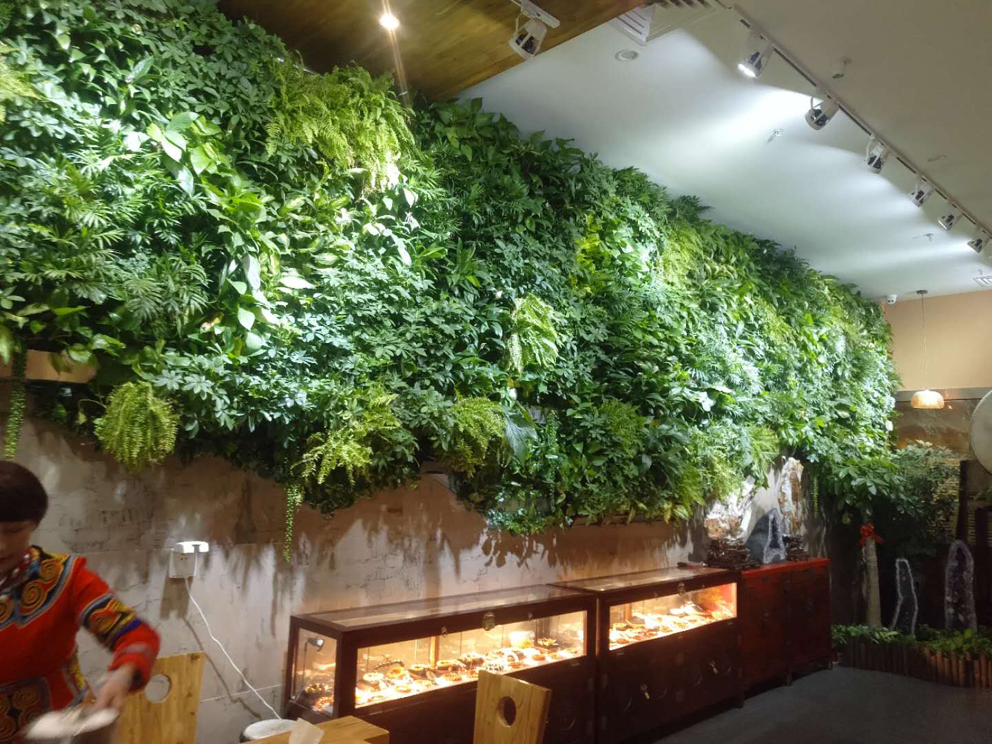 北京植物背景墙制作 植物背景墙定制 墙体植物种类丰富