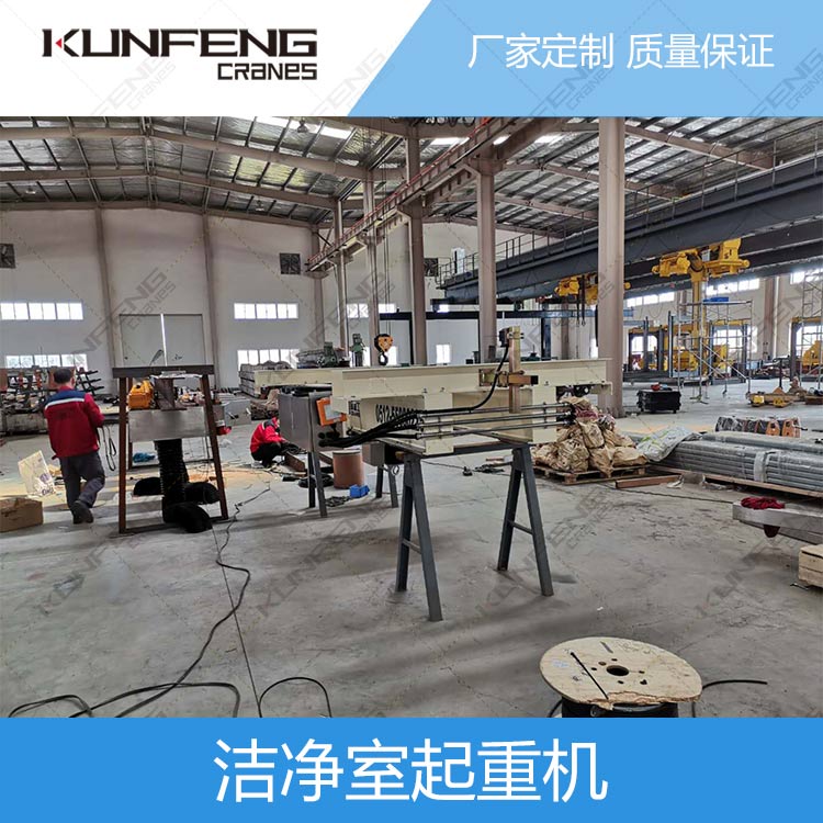 杭州生产洁净起重机的厂家 实验室无尘起重机 实验室起重机图片
