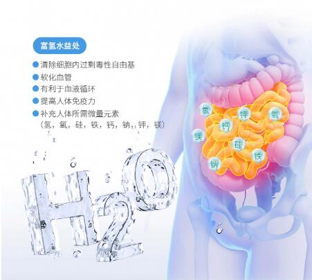 广州市广东富氢水机碱性水机厂家广东富氢水机碱性水机健宜品牌