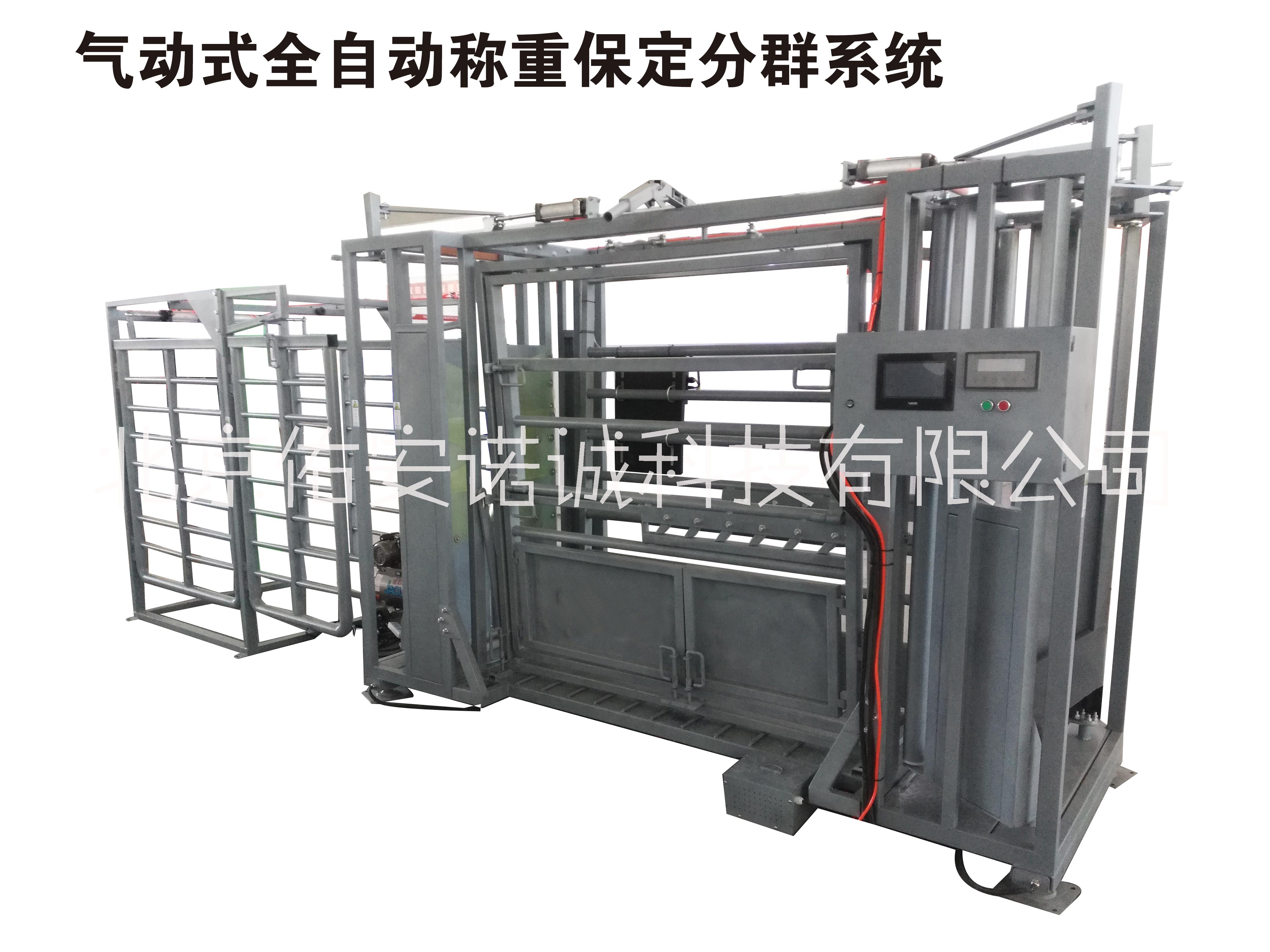 牛只专用全自动保定称重分群系统图片