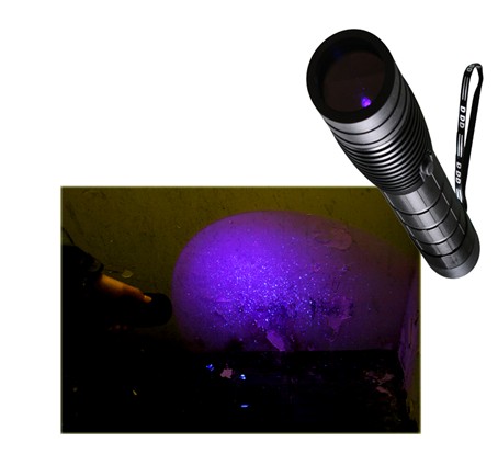HXZW-IV超广角紫外勘查手电筒 紫外手电图片