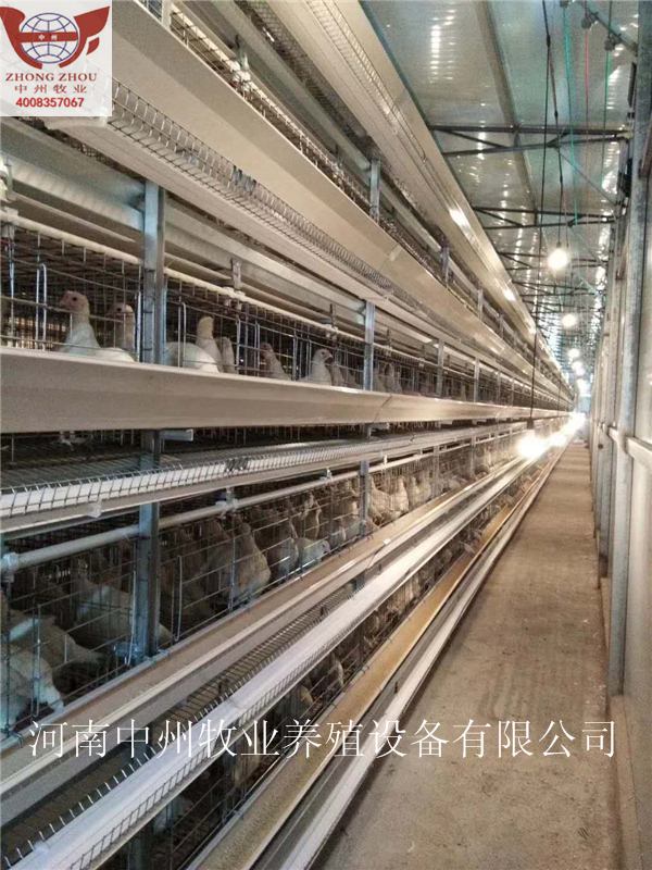 驻马店市蛋鸡笼 自动化养殖设备厂家