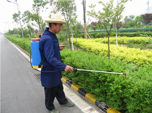 广州绿化养护服务,小区学校单位企业私人订制绿化养护图片