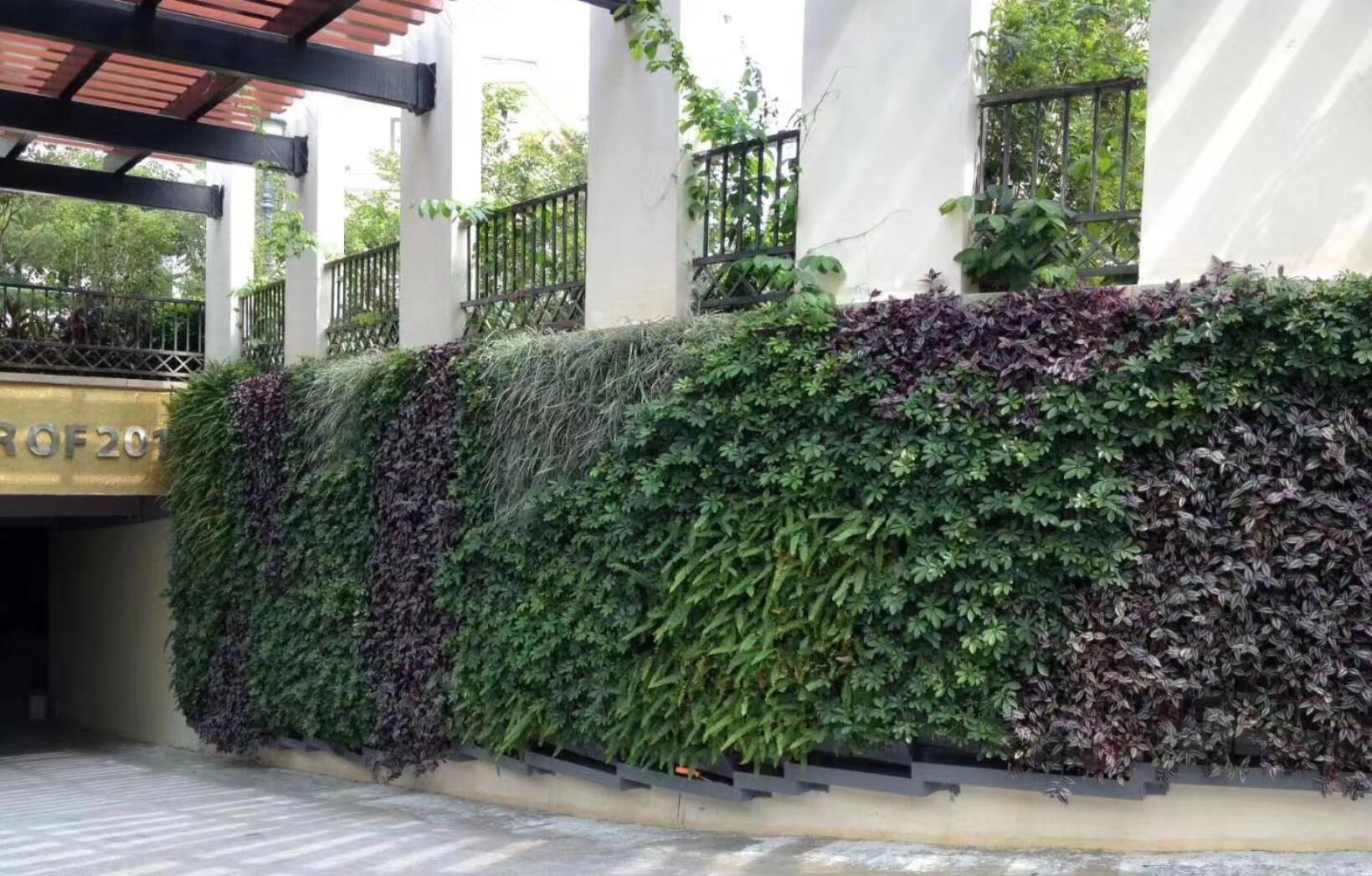 市政围挡植物墙厂家市政围挡植物墙厂家报价植物墙安装-【春明园林】