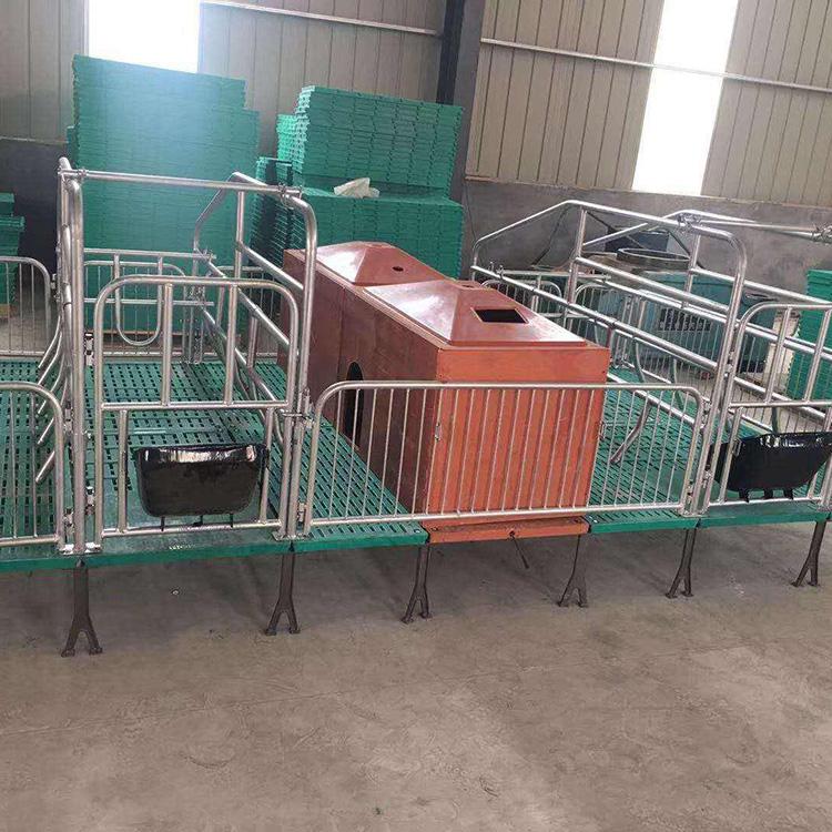 沧州市复合母猪产床 新型母猪产床厂家
