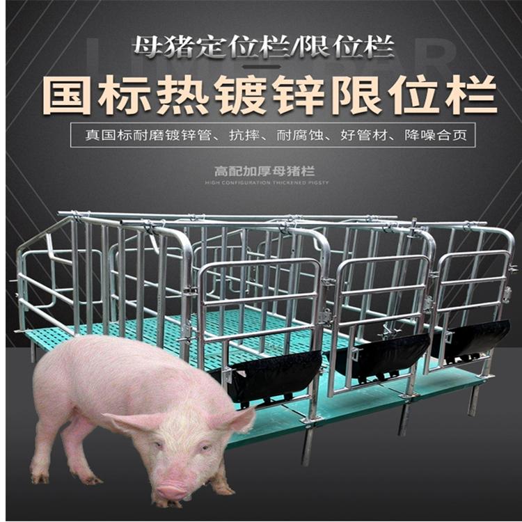 全复合母猪产床 复合母猪产床 双体母猪分娩床 养猪设备