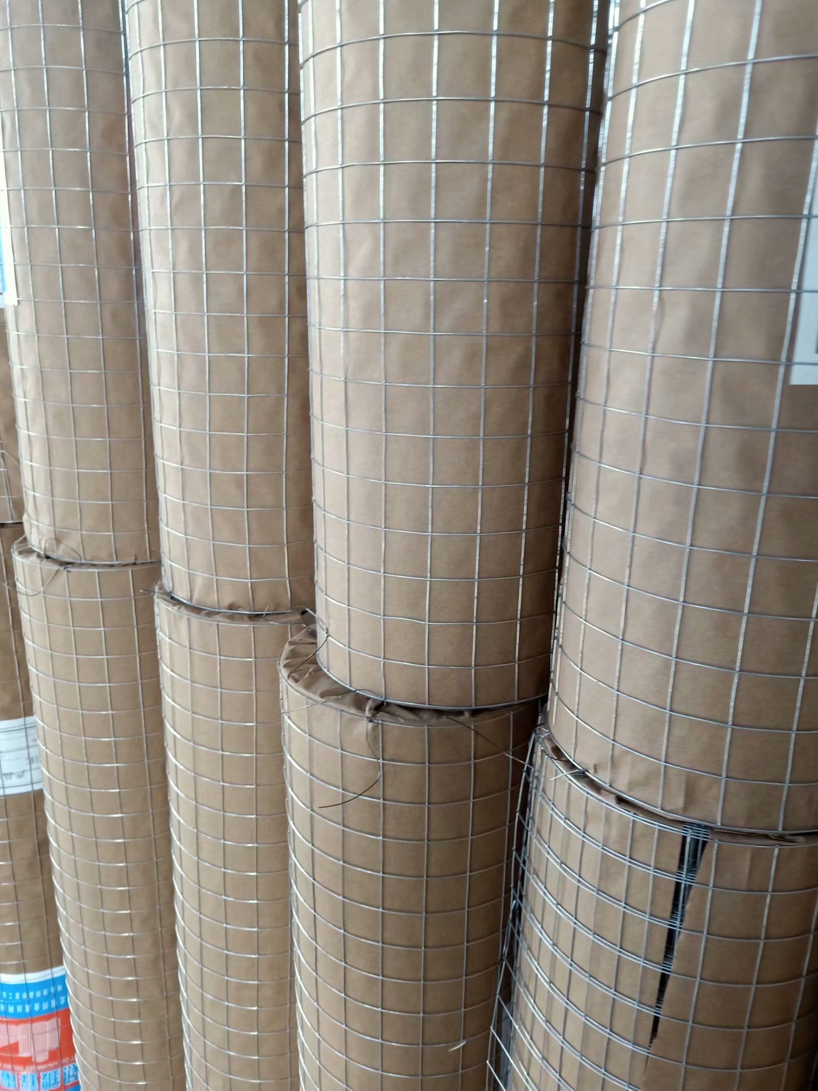 安平隆高电焊网厂家 热镀锌电网 改拔丝铁丝网建筑抹墙网