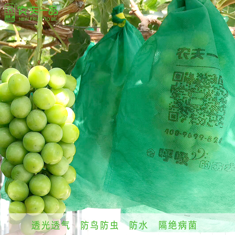 新款防虫防鸟水果套袋通用透气防水 水果套袋 葡萄套袋