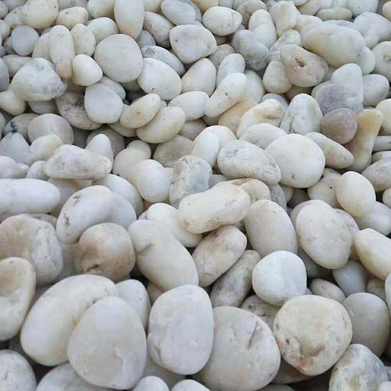 【腾泉环保】广西鹅卵石厂家批发鹅卵石 鹅卵石质量哪家好  抛光鹅卵石  白色鹅卵石图片