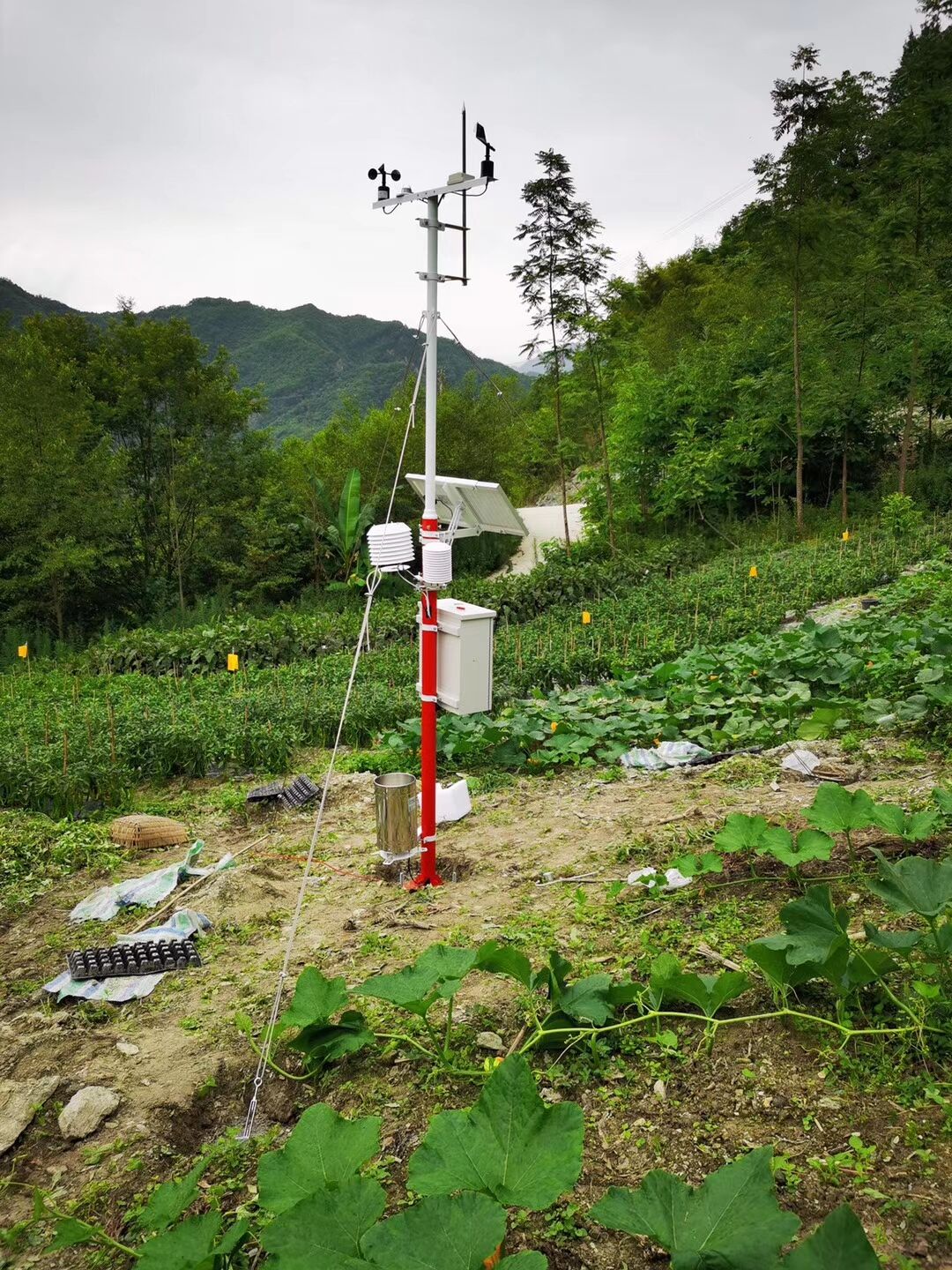 瑞华电子RHD-02自动气象站校园气象站光伏气象站在线扬尘噪声监测系统田间小气候监测站物联网气象站图片