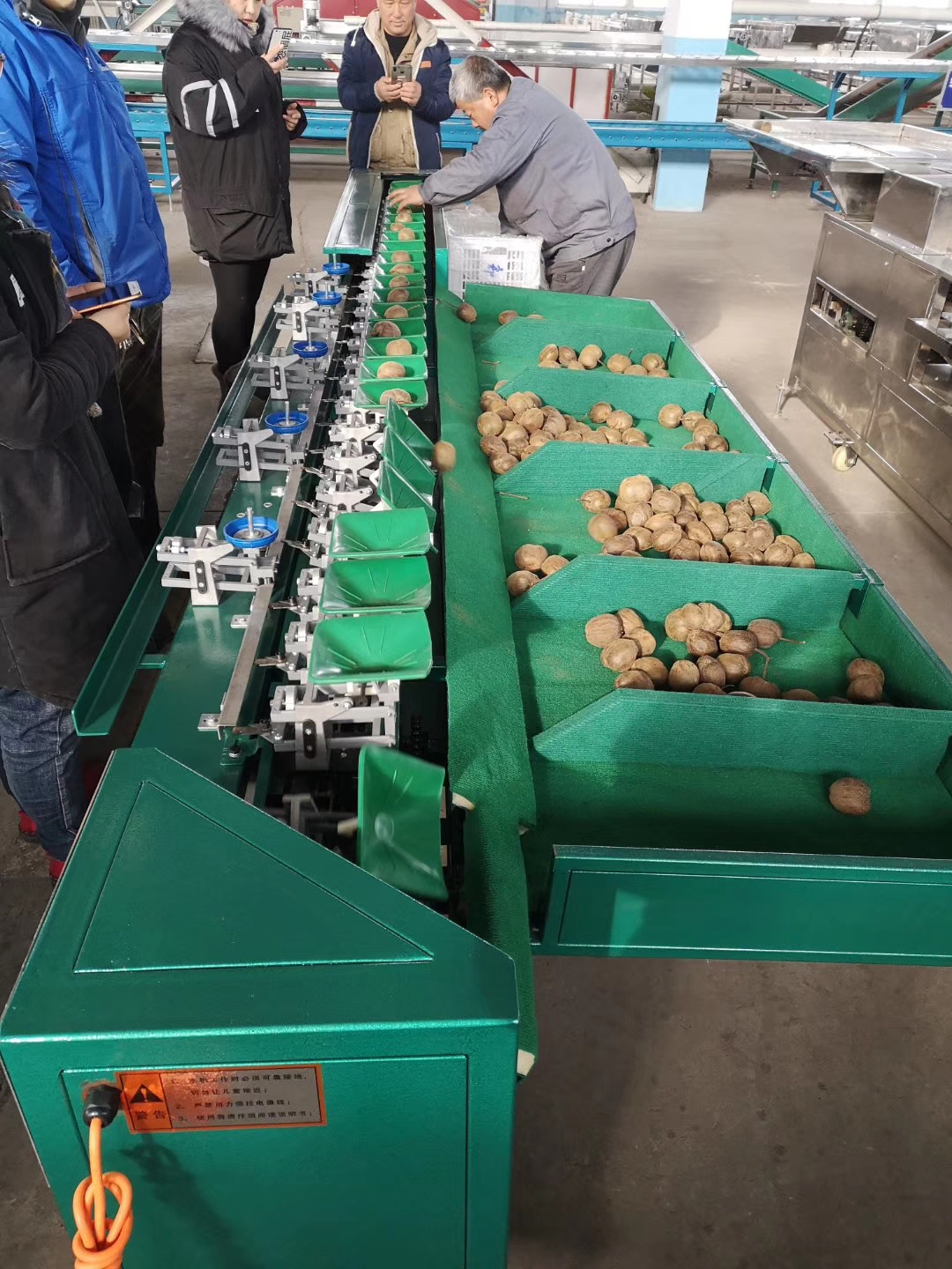 徐香猕猴桃分拣机 分级机 分选机 占地面积小的果蔬分级设备