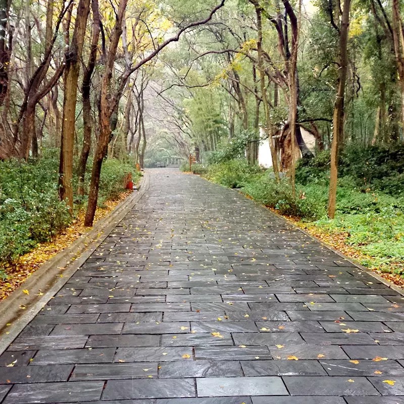九江市天然板岩厂家踏步庭院花园草坪垫脚园林汀步户外仿古地砖铺地石 天然板岩