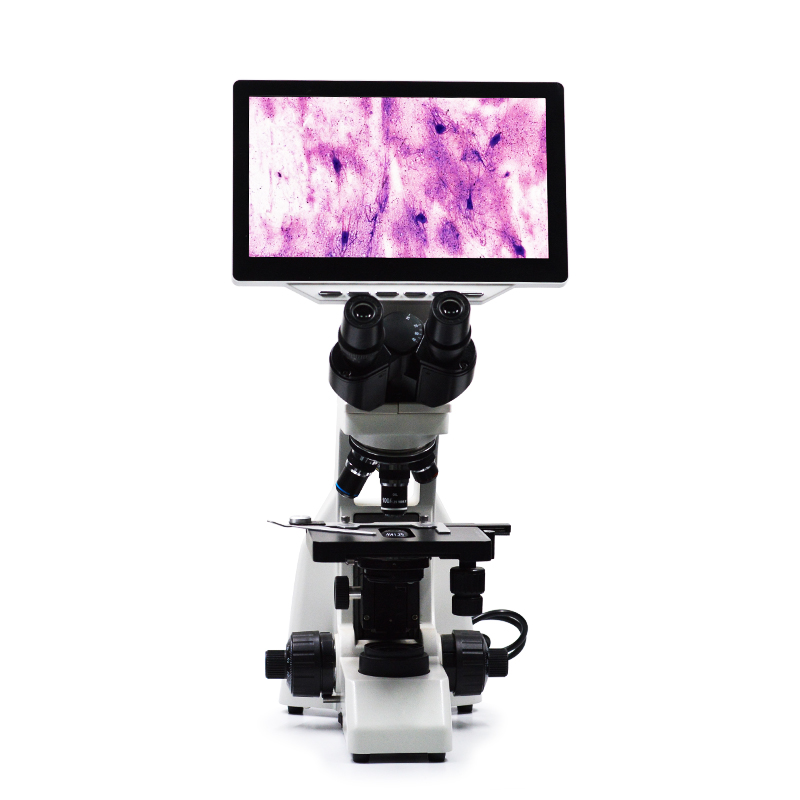双目三目正置生物电子带液晶屏显微镜内置高清数码相机一体机厂家 双目三目显微镜图片