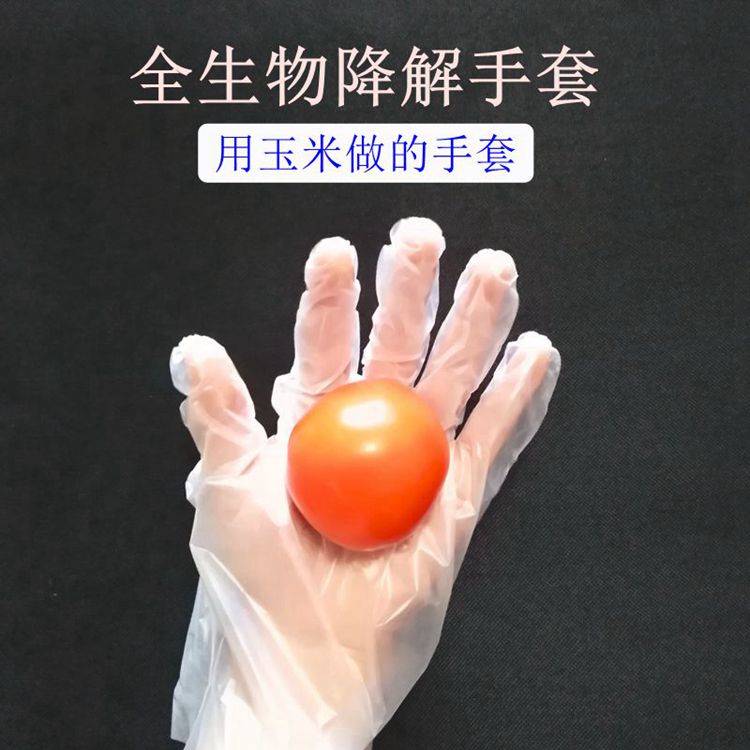 聚乳酸pla可降解一次性手套批发