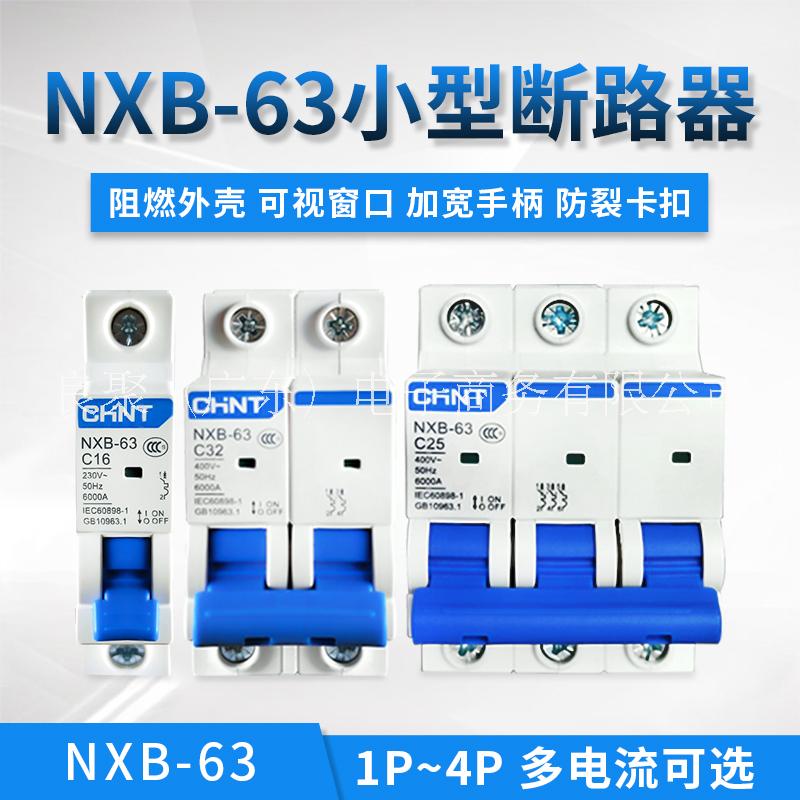 正泰NXB-63 2P C10-正泰NXB-63微型断路器 空气开关图片