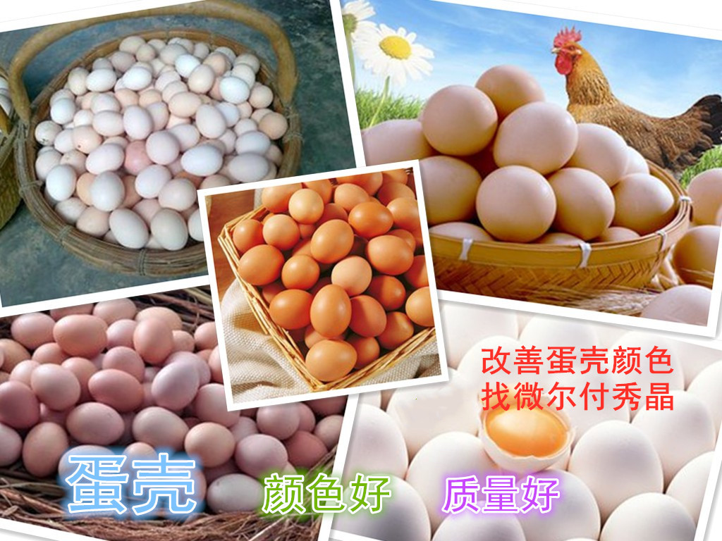 专治红壳鸡产白皮蛋用蛋鸡添加剂壳红素