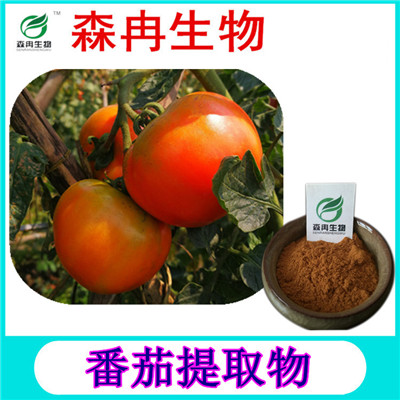 森冉生物 番茄提取物 番茄红素 西红柿提取物 植物提取原料粉图片