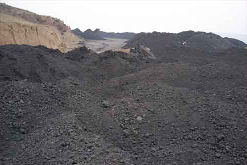 府谷煤炭，神木煤炭，电煤，面煤批发