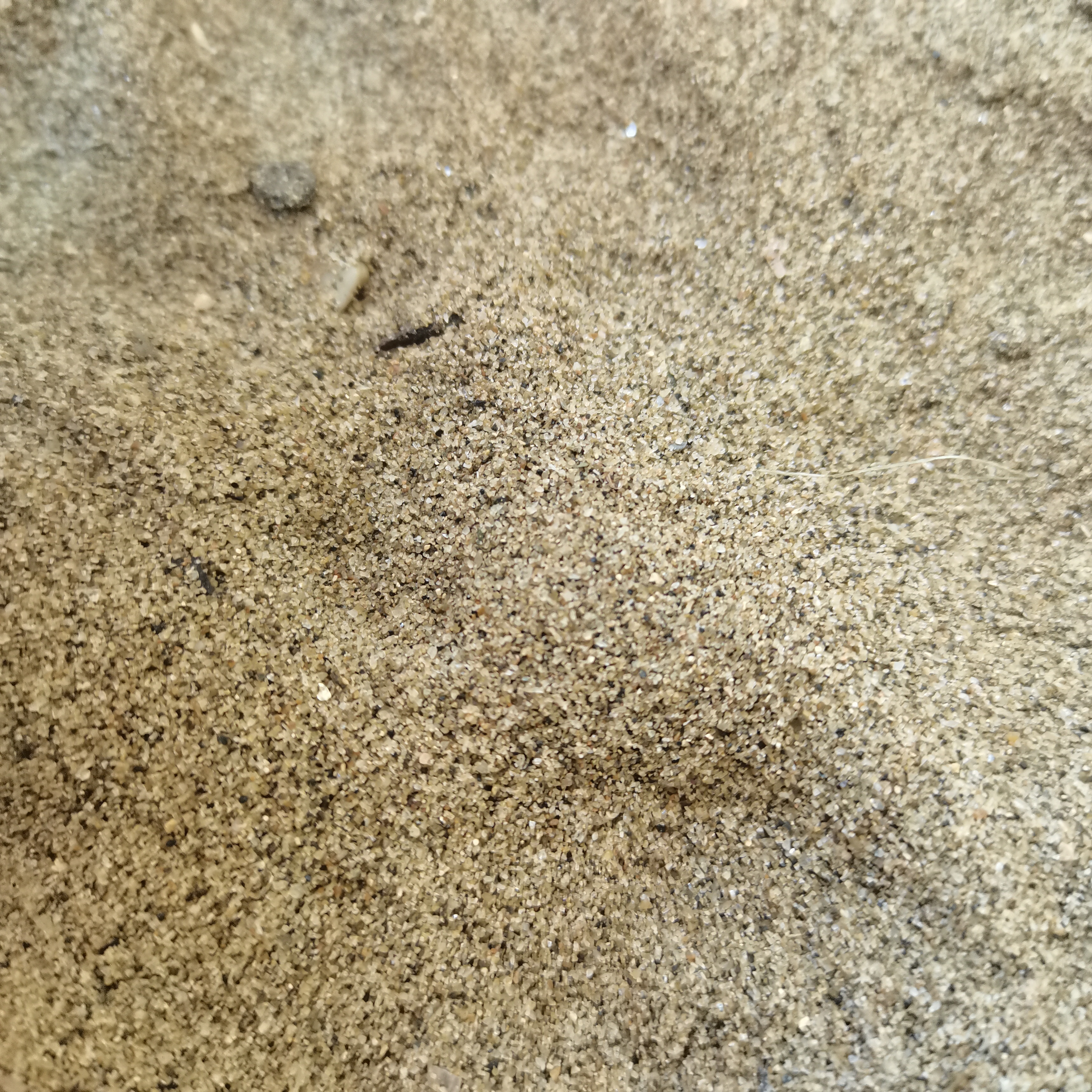 海砂过滤材料处理用建筑材料批发