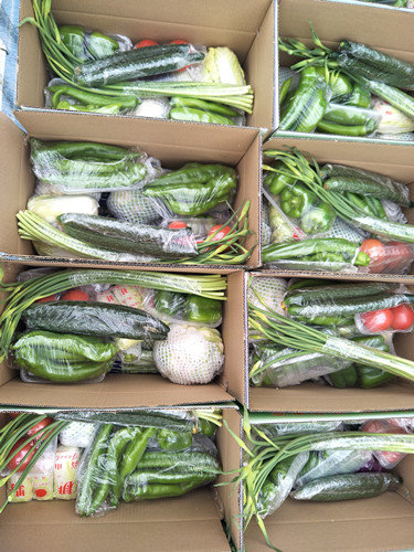 蔬菜水果配送三门峡市蔬菜礼盒销售批发