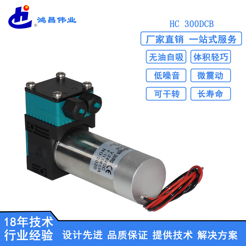 HC 300DCB微型液泵批发