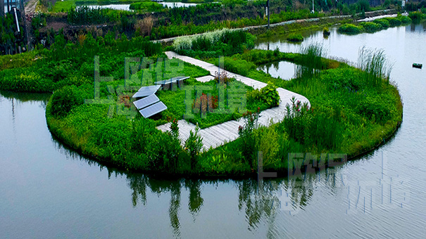 浮动湿地无二次污染 第四代人工浮岛 ZIPBIO-C201517复合纤维浮动湿地