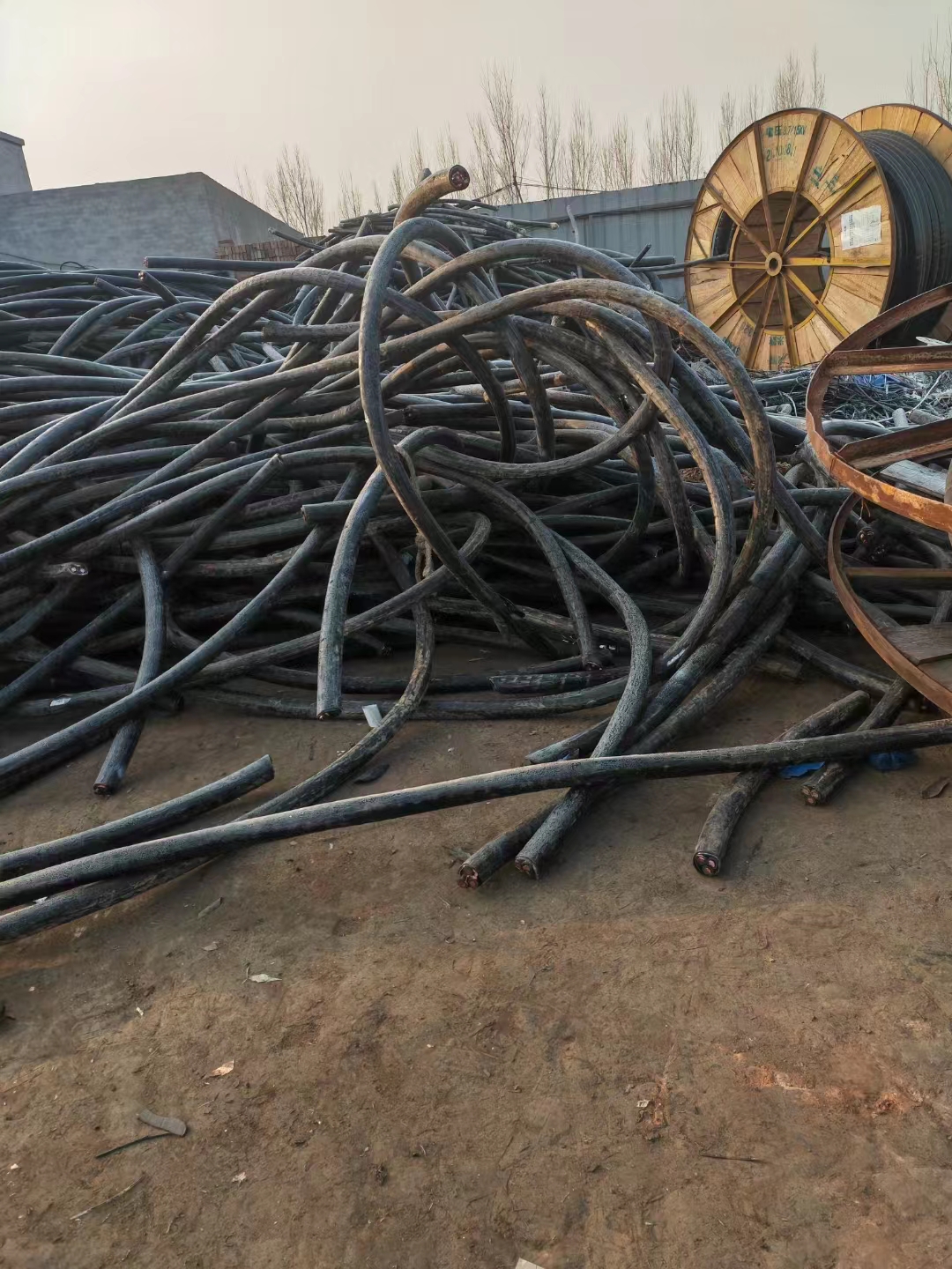 回收废电缆 报价 供应 东北回收废电缆