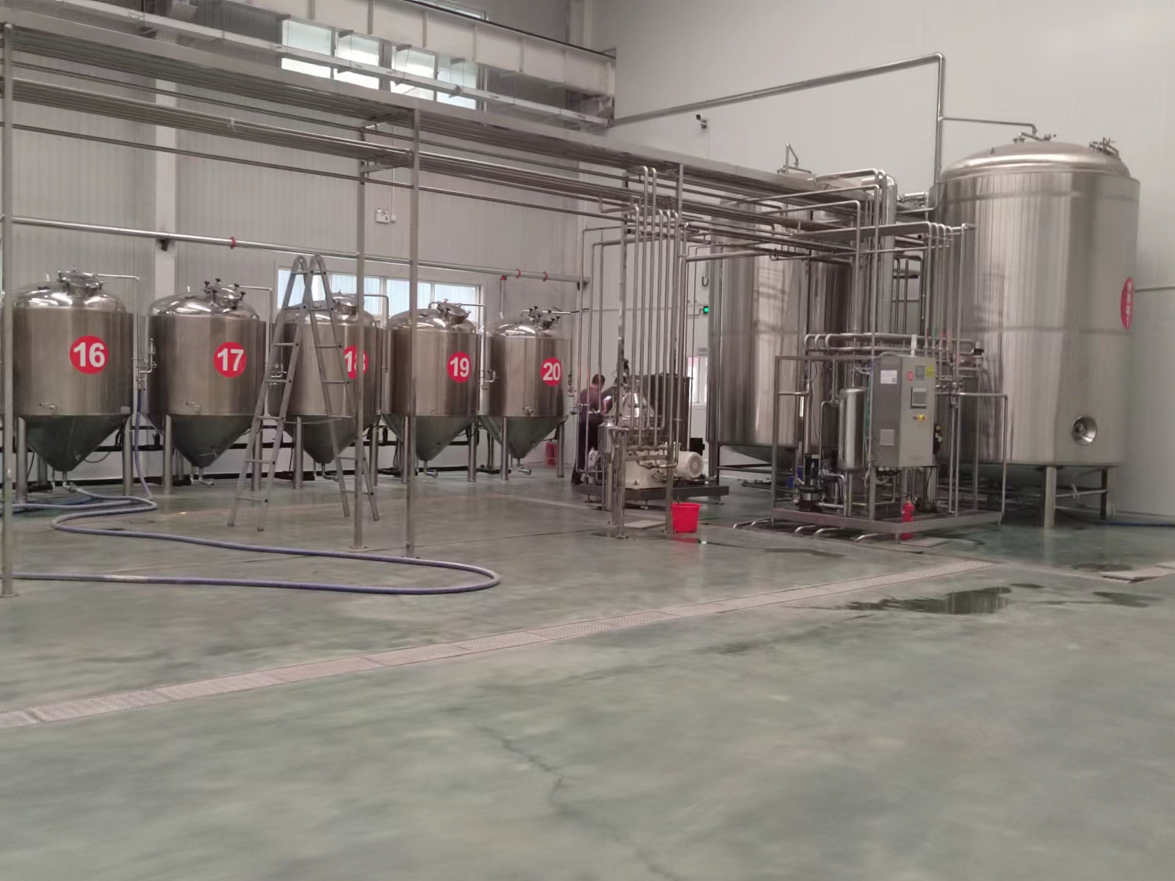 精酿啤酒设备制造厂家 日产1000升精酿啤酒设备