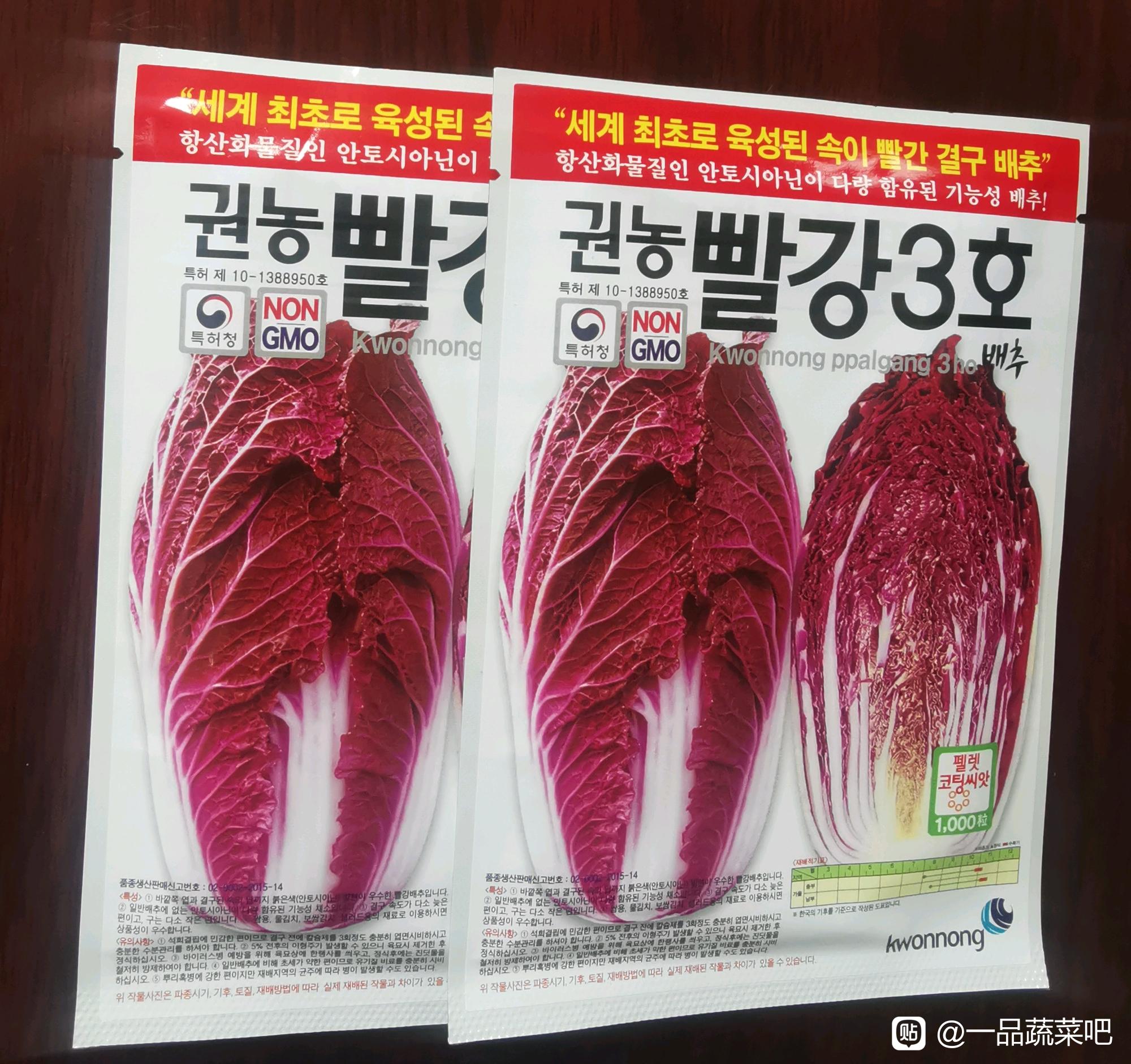 紫白菜种子韩国进口杂交一代图片
