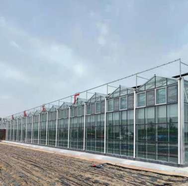 玻璃温室 智能玻璃大棚 安装玻璃温室厂家 十年质保