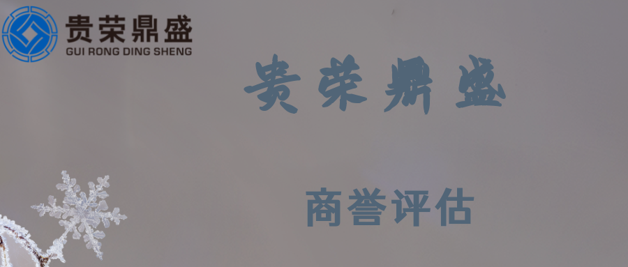 江西省赣州市资产评估机构商誉评估