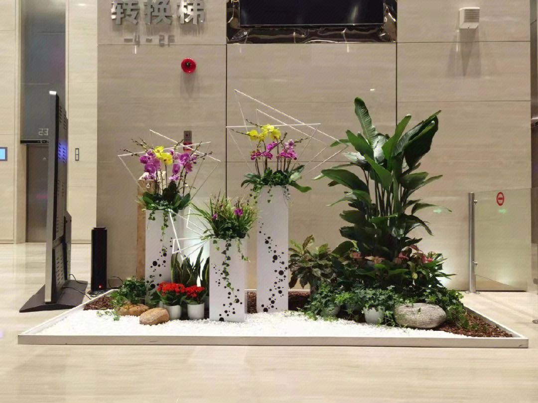 中山的花卉出租公司图片