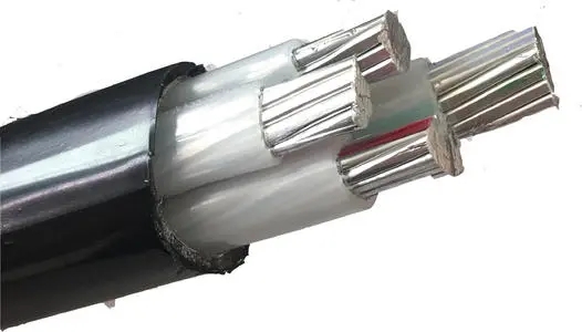 ZC-YJLV铝芯阻燃电缆 防火工程阻燃铝电缆ZB-YJLV工程安全电缆图片